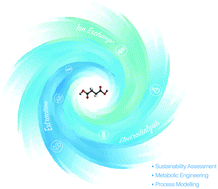 Graphical abstract: Sustainability assessment of succinic acid production technologies from biomass using metabolic engineering
