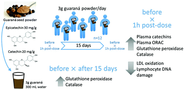 Graphical abstract: Bioavailability of catechins from guaraná (Paullinia cupana) and its effect on antioxidant enzymes and other oxidative stress markers in healthy human subjects