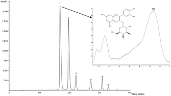 Graphical abstract: Wild Fragaria vesca L. fruits: a rich source of bioactive phytochemicals