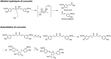Graphical abstract: Potential roles of chemical degradation in the biological activities of curcumin