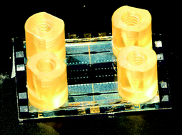 Graphical abstract: A microfluidic, dual-purpose sensor for in vitro detection of Enterobacteriaceae and biotinylated antibodies