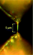 Graphical abstract: Direct electrical and mechanical characterization of in situ generated DNA between the tips of silicon nanotweezers (SNT)