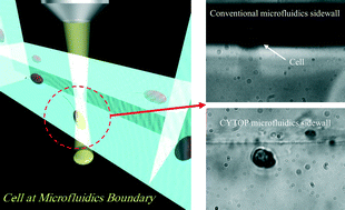 Graphical abstract: Making the invisible visible: a microfluidic chip using a low refractive index polymer