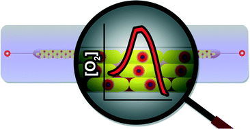 Graphical abstract: Implementing oxygen control in chip-based cell and tissue culture systems