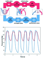 Graphical abstract: A microfluidic circulatory system integrated with capillary-assisted pressure sensors
