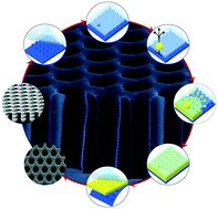 Graphical abstract: Fabrication of large-area polymer microfilter membranes and their application for particle and cell enrichment