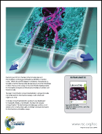 Graphical abstract: Back cover