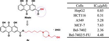 Graphical abstract: Design, synthesis and biological evaluation of rhein derivatives as anticancer agents