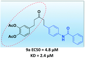Graphical abstract: Design, synthesis and biological evaluation of caffeoyl benzanilides as dual inhibitors of HIV integrase and CCR5