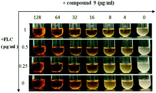 Graphical abstract: Synthesis and synergistic antifungal effects of monoketone derivatives of curcumin against fluconazole-resistant Candida spp.