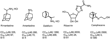 Graphical abstract: Synthesis and in vitro study of novel borneol derivatives as potent inhibitors of the influenza A virus