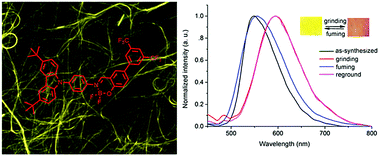 Graphical abstract: Carbazole modified salicylaldimines and their difluoroboron complexes: effect of the tert-butyl and trifluoromethyl terminal groups on organogelation and piezofluorochromism