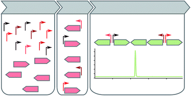 Graphical abstract: Native and engineered promoters in natural product discovery