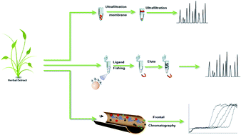 Graphical abstract: Comparison of analytical techniques for the identification of bioactive compounds from natural products