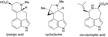 Graphical abstract: Ergot alkaloids: synthetic approaches to lysergic acid and clavine alkaloids