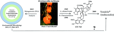 Graphical abstract: Marine natural products