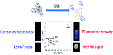 Graphical abstract: A magnetic/fluorometric bimodal sensor based on a carbon dots–MnO2 platform for glutathione detection