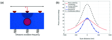 Graphical abstract: Contrast mechanisms on nanoscale subsurface imaging in ultrasonic AFM: scattering of ultrasonic waves and contact stiffness of the tip–sample