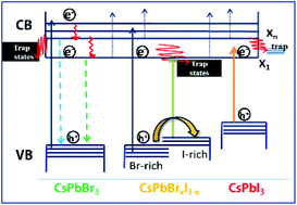 Graphical abstract: Complete ultrafast charge carrier dynamics in photo-excited all-inorganic perovskite nanocrystals (CsPbX3)