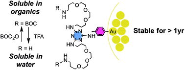 Graphical abstract: Facile synthesis of stable, water soluble, dendron-coated gold nanoparticles