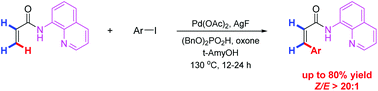 Graphical abstract: Aminoquinoline-assisted vinylic C–H arylation of unsubstituted acrylamide for the selective synthesis of Z olefins