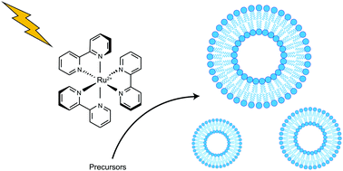 Graphical abstract: Ruthenium photoredox-triggered phospholipid membrane formation