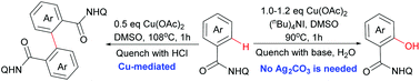 Graphical abstract: Divergent copper-mediated dimerization and hydroxylation of benzamides involving C–H bond functionalization