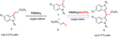 Graphical abstract: Non-redox metal ion promoted oxidative coupling of indoles with olefins by the palladium(ii) acetate catalyst through dioxygen activation: experimental results with DFT calculations