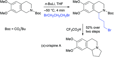 Graphical abstract: Synthesis of substituted tetrahydroisoquinolines by lithiation then electrophilic quench