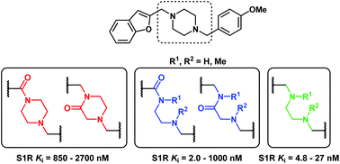 Graphical abstract: A systematic exploration of the effects of flexibility and basicity on sigma (σ) receptor binding in a series of substituted diamines