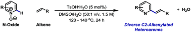 Graphical abstract: C2-Alkenylation of N-heteroaromatic compounds via Brønsted acid catalysis