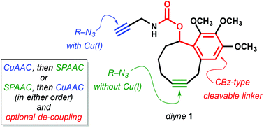 Graphical abstract: Orthogonal dual-click diyne for CuAAC and/or SPAAC couplings