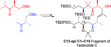 Graphical abstract: Studies towards the synthesis of tedanolide C. Construction of the C13-epi C1–C15 fragment