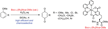 Graphical abstract: ONO-pincer ruthenium complex-bound norvaline for efficient catalytic oxidation of methoxybenzenes with hydrogen peroxide