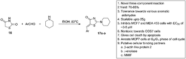 Graphical abstract: Synthesis of novel 5-arylidenethiazolidinones with apoptotic properties via a three component reaction using piperidine as a bifunctional reagent