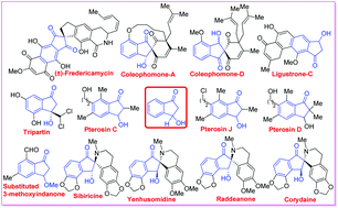 Graphical abstract: Developments toward the synthesis and application of 3-hydroxyindanones
