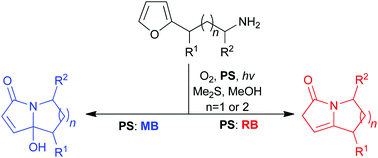 Graphical abstract: Chemoselective photooxygenations of furans bearing unprotected amines: their use in alkaloid synthesis