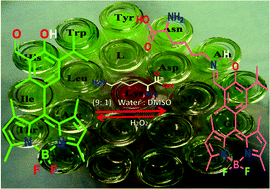 Graphical abstract: Colorimetric and fluorescence probe for the detection of nano-molar lysine in aqueous medium