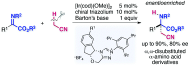 Graphical abstract: Enantioselective synthesis of α,α-disubstituted α-amino acids via direct catalytic asymmetric addition of acetonitrile to α-iminoesters