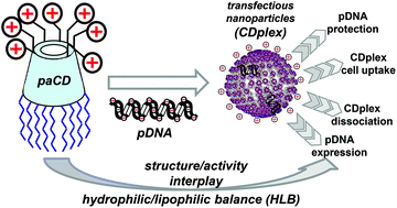 Graphical abstract: Cyclodextrin-based facial amphiphiles: assessing the impact of the hydrophilic–lipophilic balance in the self-assembly, DNA complexation and gene delivery capabilities