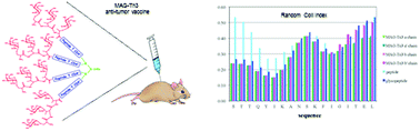 Graphical abstract: Large-scale synthesis and structural analysis of a synthetic glycopeptide dendrimer as an anti-cancer vaccine candidate