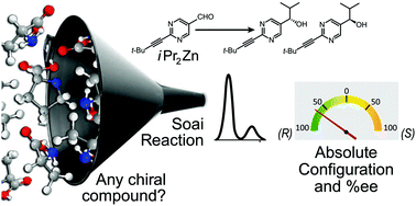 Graphical abstract: Can the analyte-triggered asymmetric autocatalytic Soai reaction serve as a universal analytical tool for measuring enantiopurity and assigning absolute configuration?