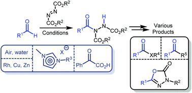 Graphical abstract: An overview of the synthesis of acyl hydrazides from aldehydes and reactions of the products thereof