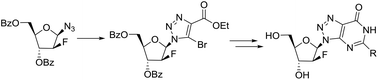 Graphical abstract: The first example of palladium-catalyzed cascade amidine arylation–intramolecular ester amidation for the synthesis of hypoxanthines: application to the synthesis of 8-azanebularine analogues