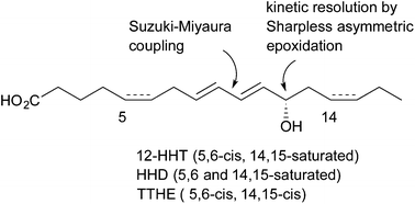 Graphical abstract: Asymmetric synthesis of 12-hydroxyheptadecatrienoic acid and its 5,6-dihydro- and 14,15-dehydro-derivatives