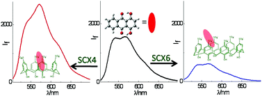 Graphical abstract: Contrasting tunability of quinizarin fluorescence with p-sulfonatocalix[4,6]arene hosts