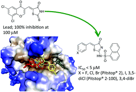 Graphical abstract: 5-Aryl-2-(naphtha-1-yl)sulfonamido-thiazol-4(5H)-ones as clathrin inhibitors