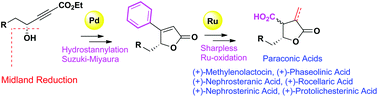 Graphical abstract: A protecting-group-free synthesis of (+)-nephrosteranic, (+)-protolichesterinic, (+)-nephrosterinic, (+)-phaseolinic, (+)-rocellaric acids and (+)-methylenolactocin