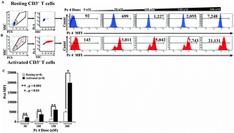 Graphical abstract: Activated T cells exhibit increased uptake of silicon phthalocyanine Pc 4 and increased susceptibility to Pc 4-photodynamic therapy-mediated cell death