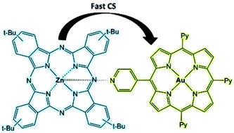 Graphical abstract: Light harvesting a gold porphyrin–zinc phthalocyanine supramolecular donor–acceptor dyad